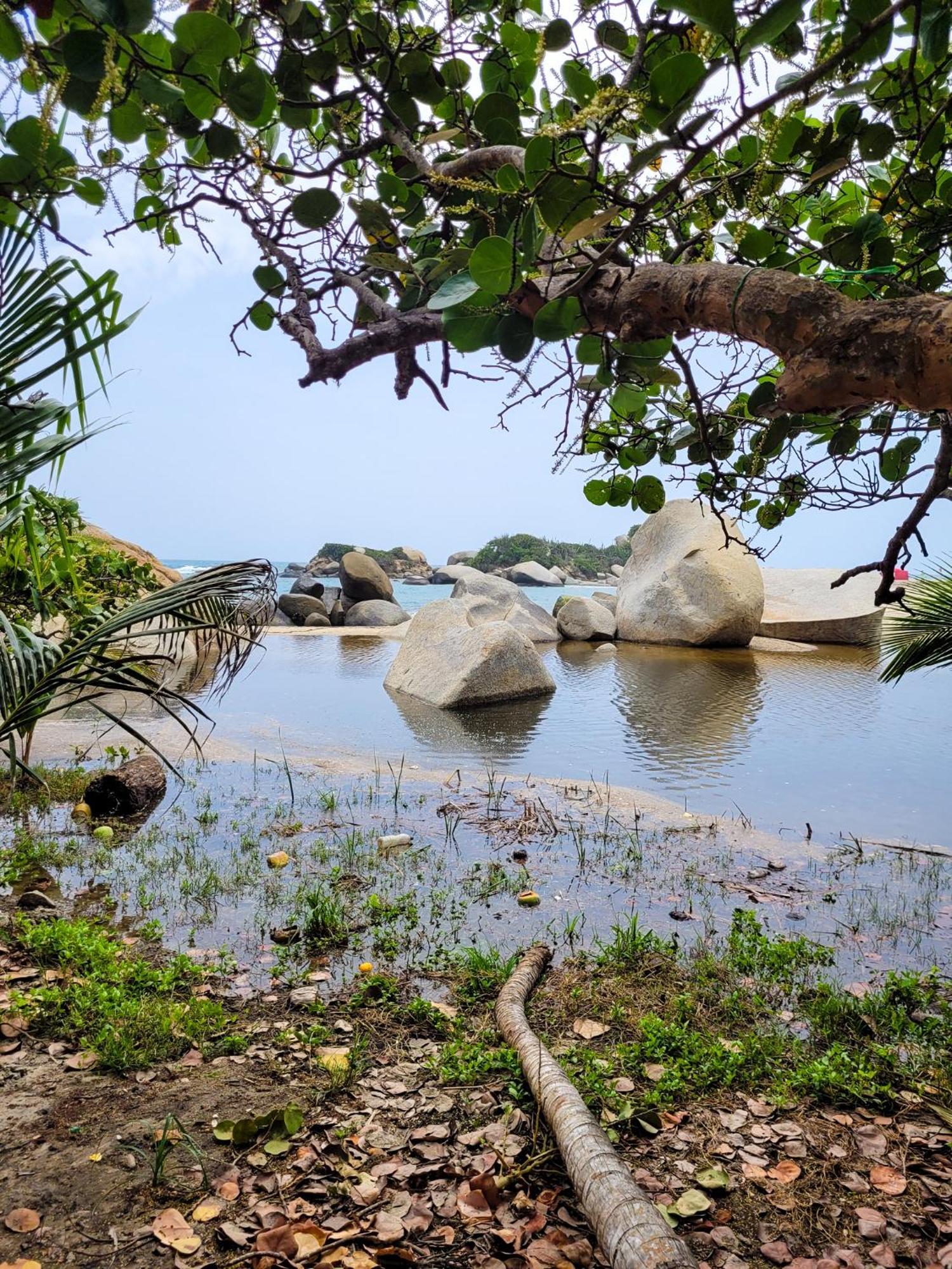 Tayrona Angel Lodge El Zaino Exteriör bild